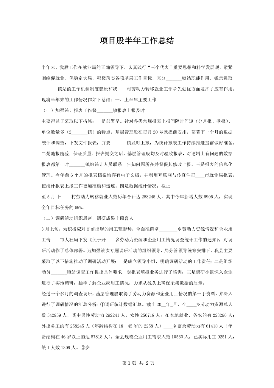 项目股半年工作总结.docx_第1页