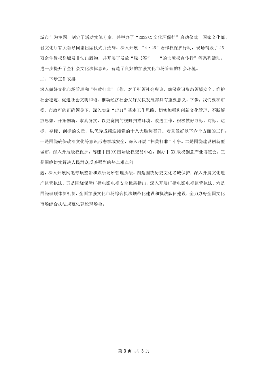 文化执法局半年工作总结.docx_第3页