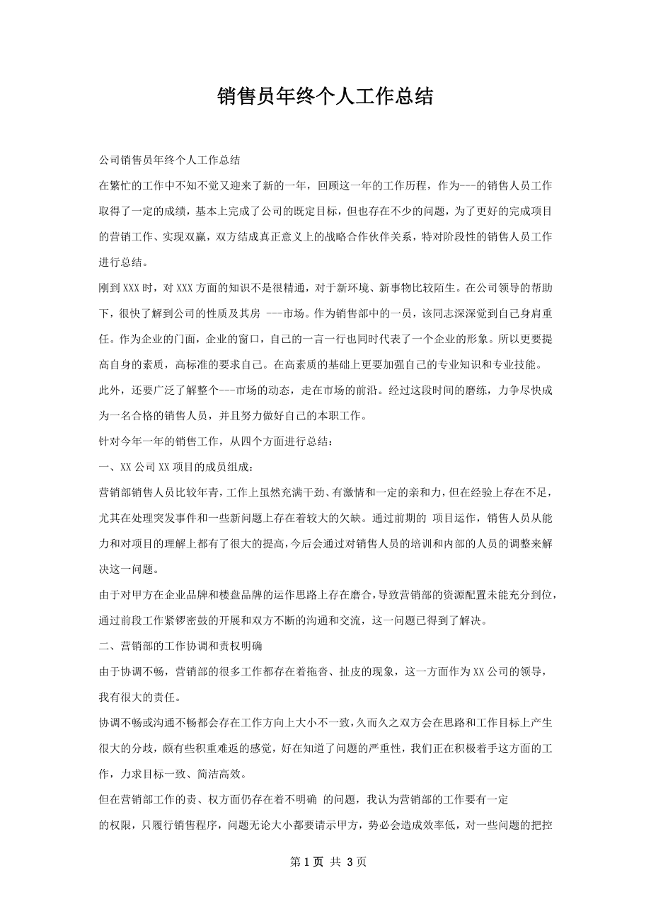 销售员年终个人工作总结.docx_第1页