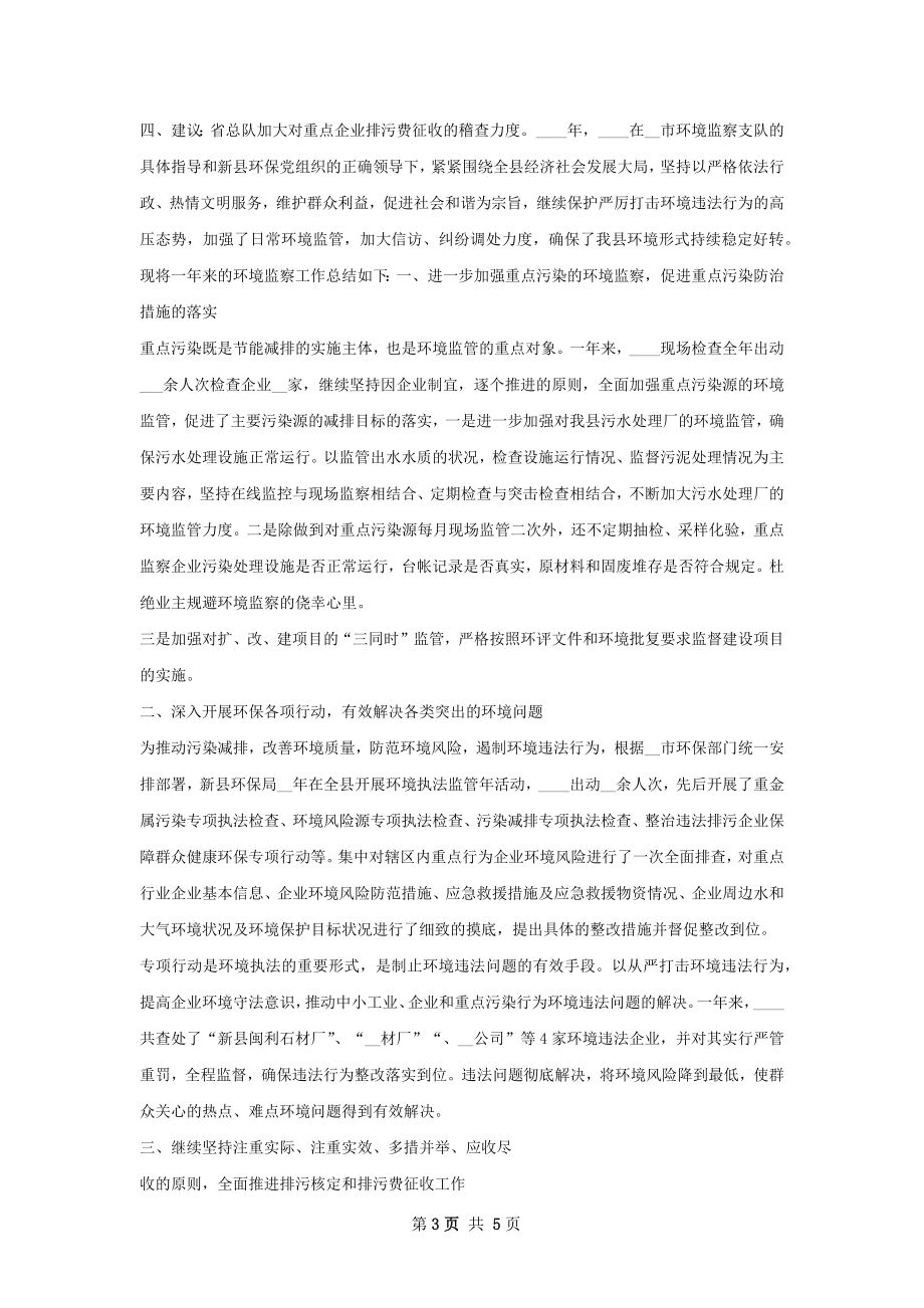 环境监察支队工作总结.docx_第3页