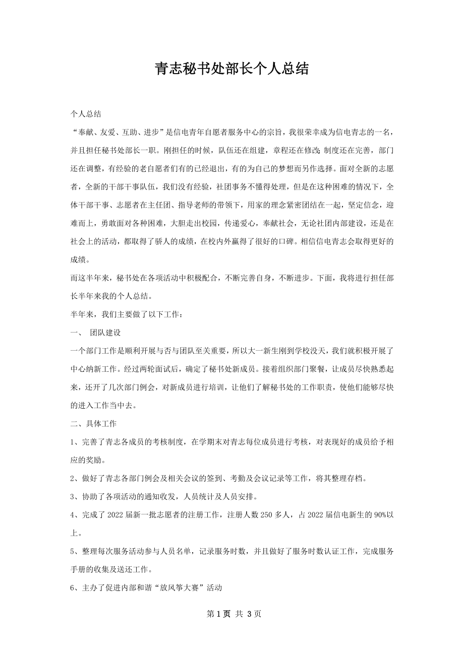 青志秘书处部长个人总结.docx_第1页