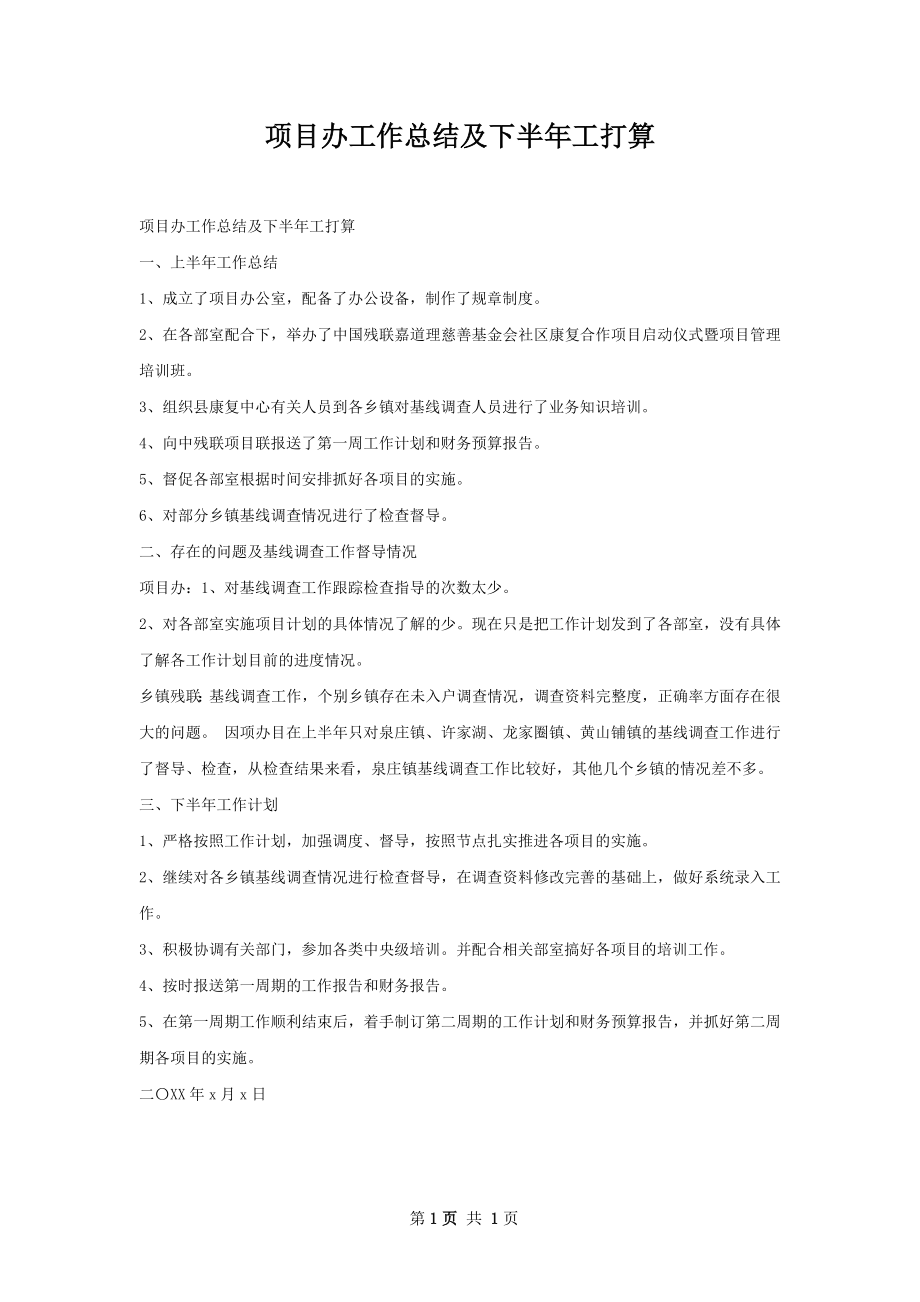 项目办工作总结及下半年工打算.docx_第1页