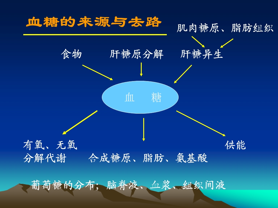 糖尿病抗体三项.ppt_第2页