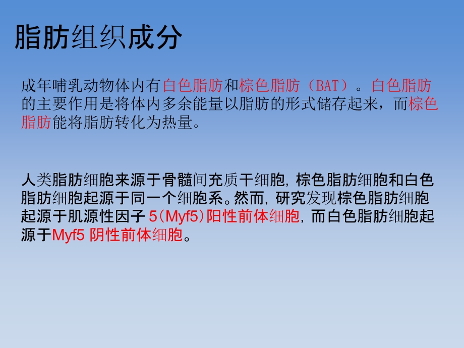 脂肪与糖尿病的关系.ppt_第2页