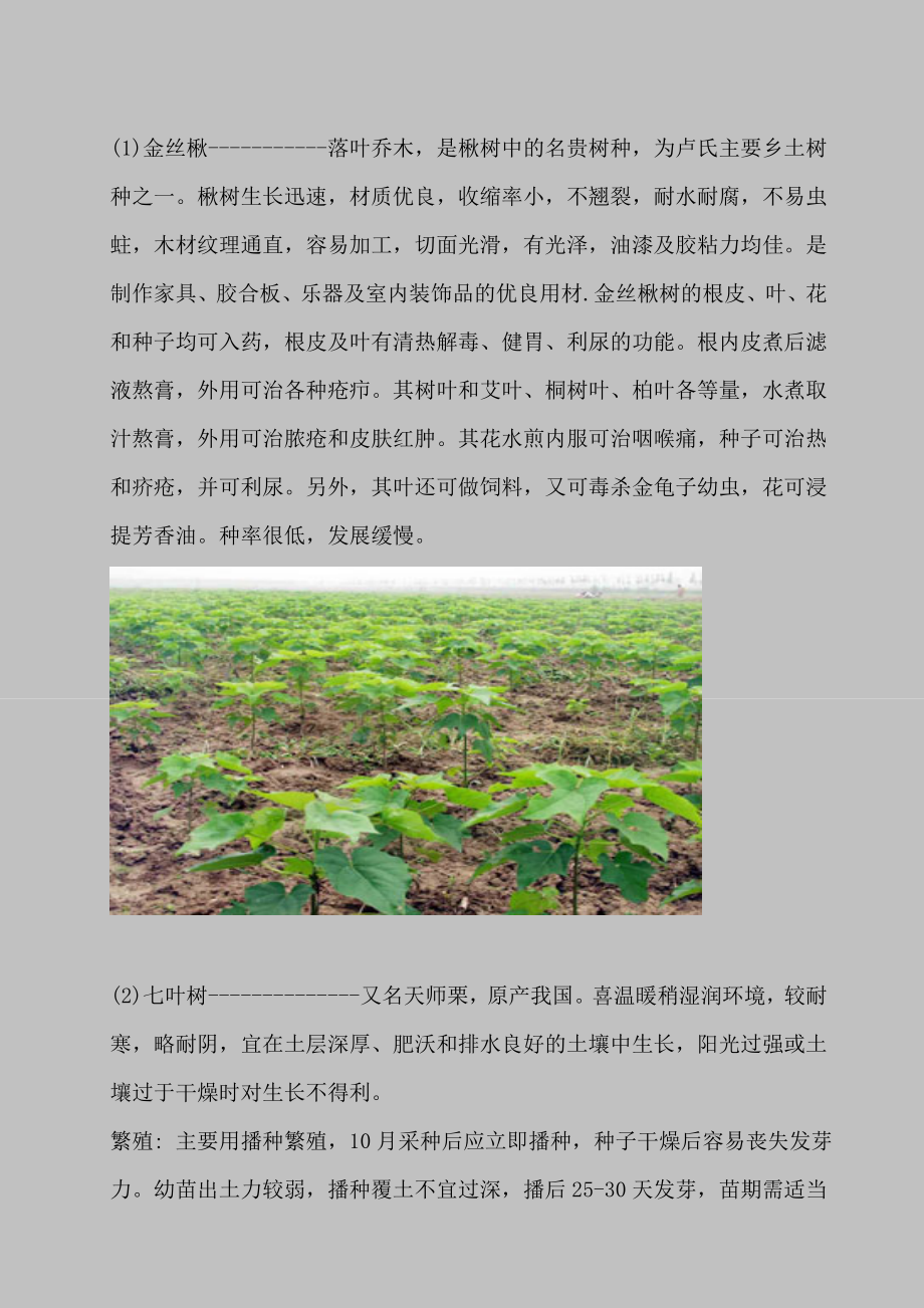 园林绿化植物名录（部分）（图文并茂）.doc_第1页