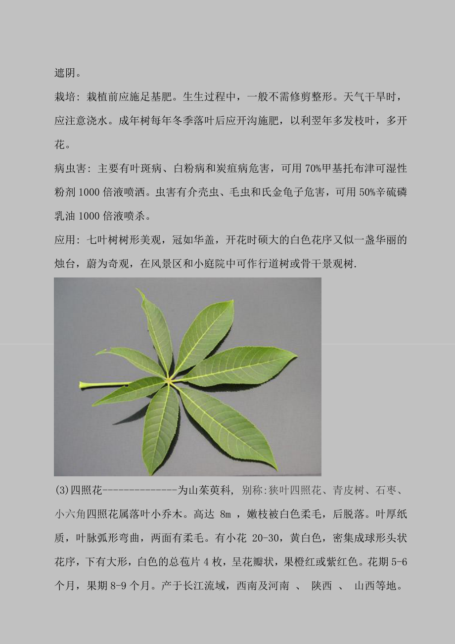 园林绿化植物名录（部分）（图文并茂）.doc_第2页