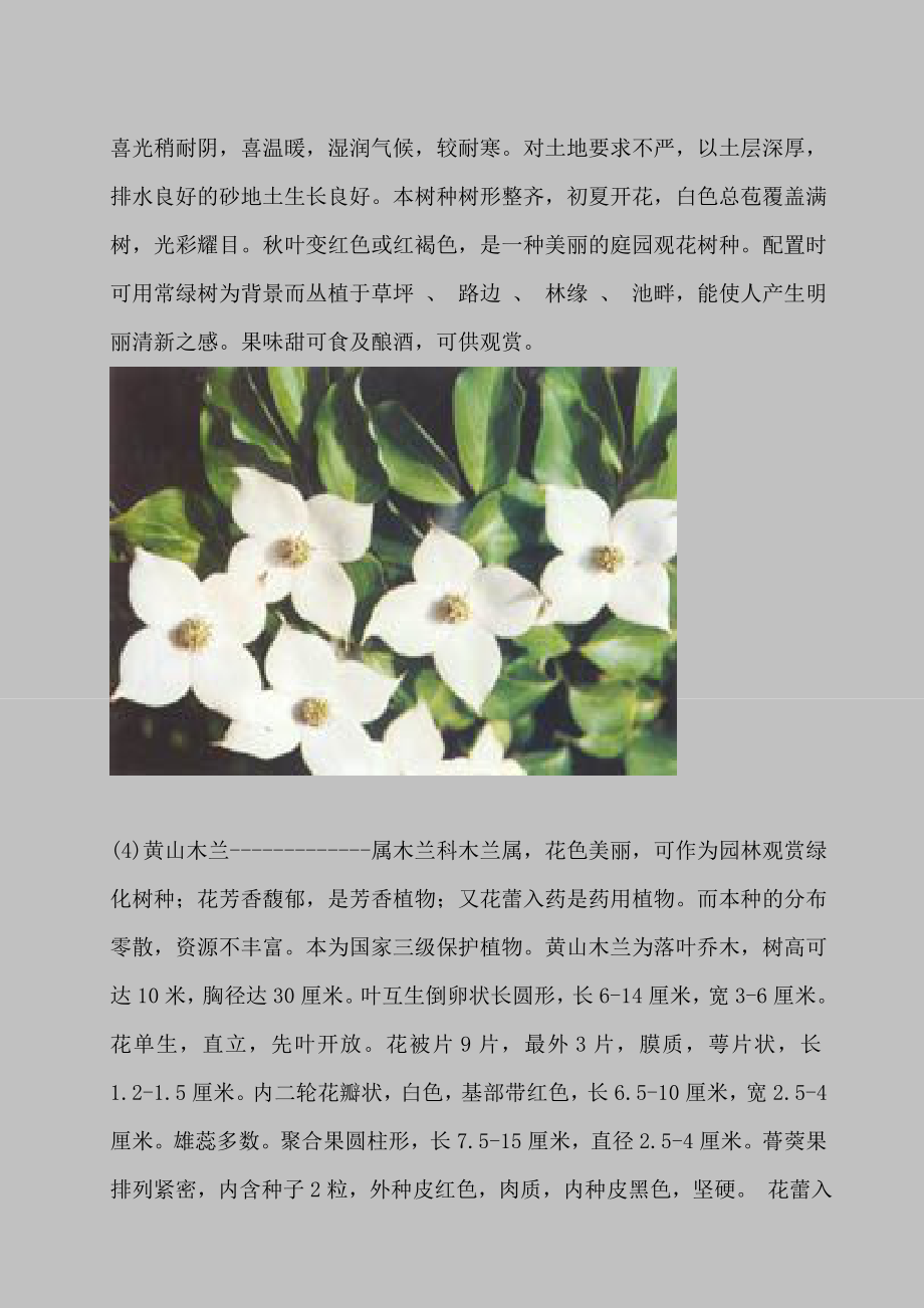 园林绿化植物名录（部分）（图文并茂）.doc_第3页