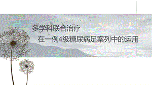 糖尿病足个案.ppt