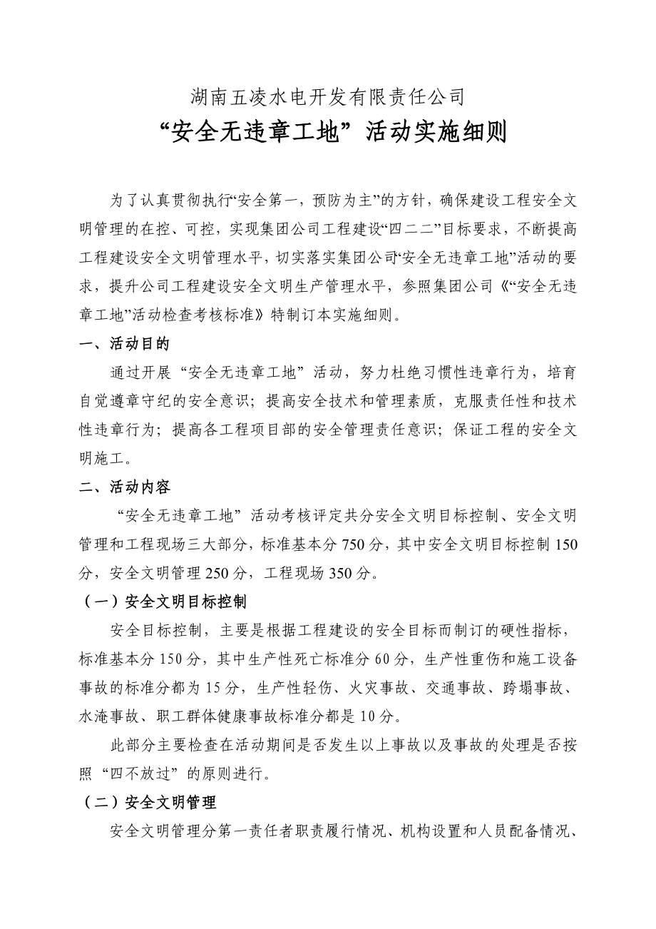 水电开发有限责任公司安全无违章工地活动实施细则.doc_第1页