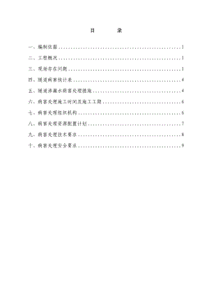 乌鞘岭隧道病害处理施工方案.doc