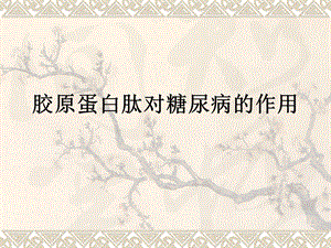 胶原蛋白与糖尿病.ppt