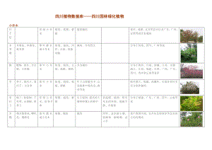 四川园林绿化植物数据库.doc