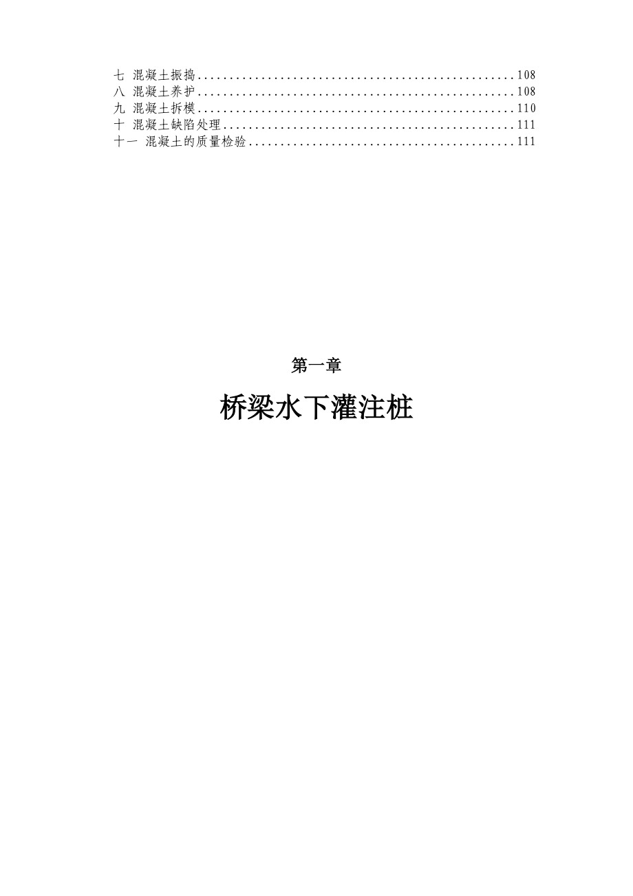 桥隧综合施工作业指导书.doc_第2页