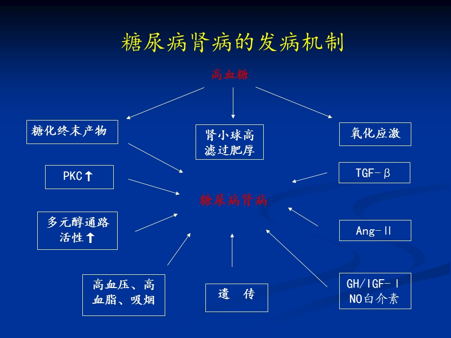 糖尿病肾病病理特点.ppt_第3页