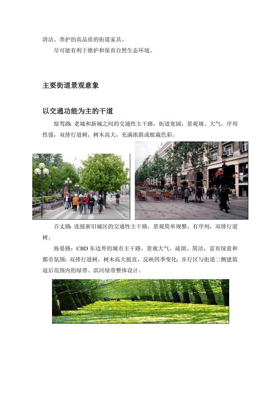 东部新城核心区街道景观规划.doc_第2页