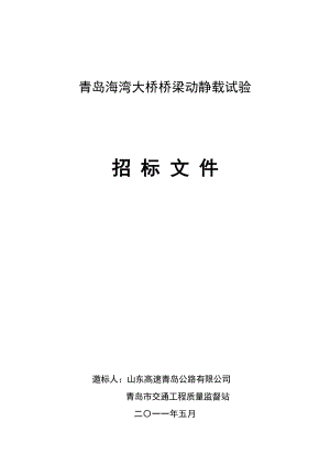 某海湾大桥桥梁动静载试验招标文件.doc