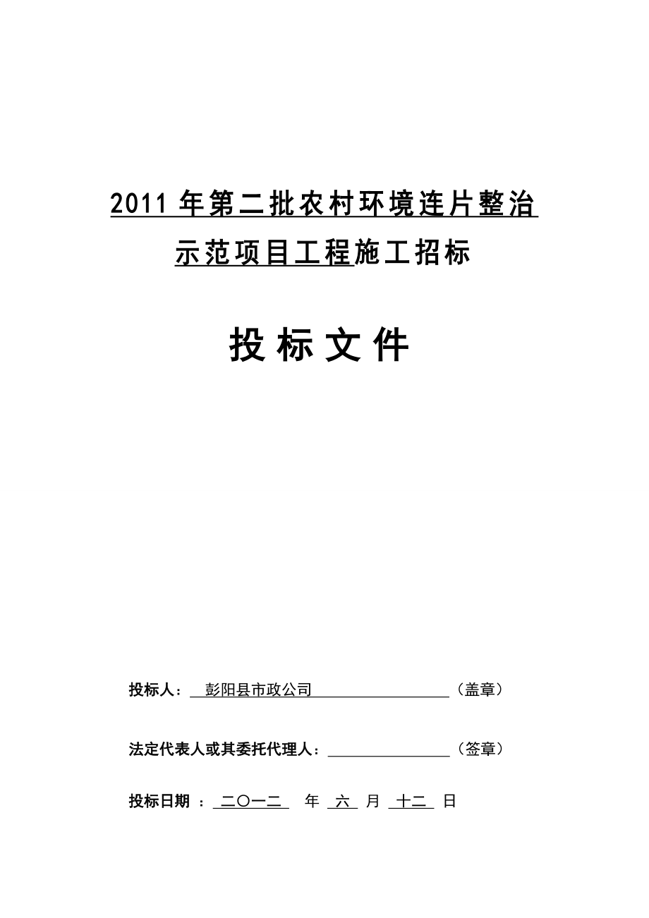 2011年环保市政公司投标文件.doc_第1页