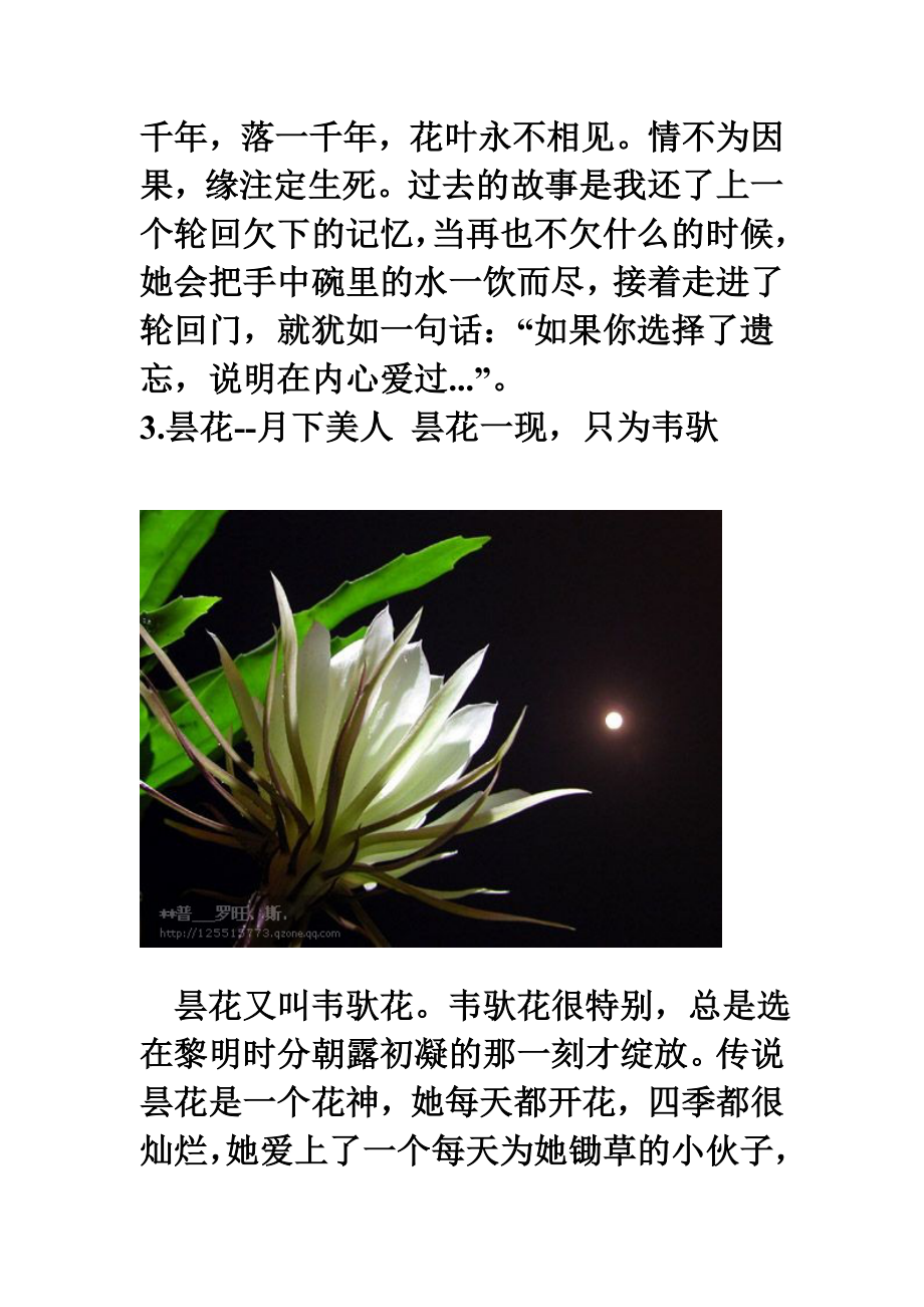 每一种植物都有一个关于爱与忧伤的.doc_第3页