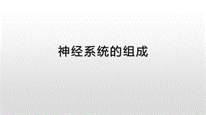 神经系统的组成ppt课件.pptx