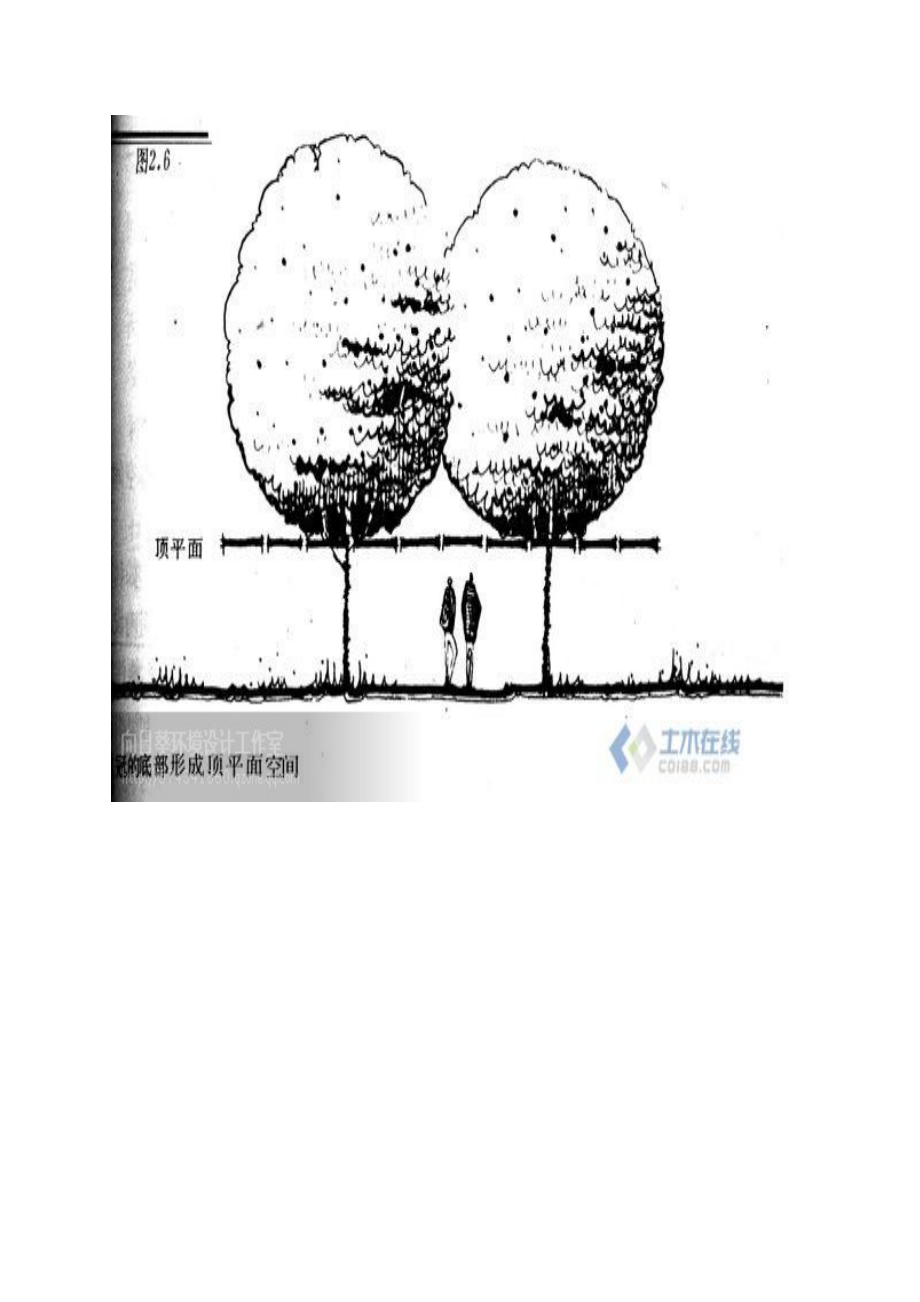 图解园林植物种植的合理布局.doc_第3页