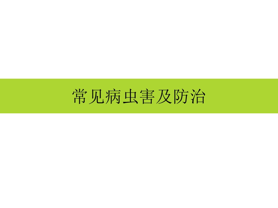 蜜柚病虫害综合防治技术.ppt_第1页