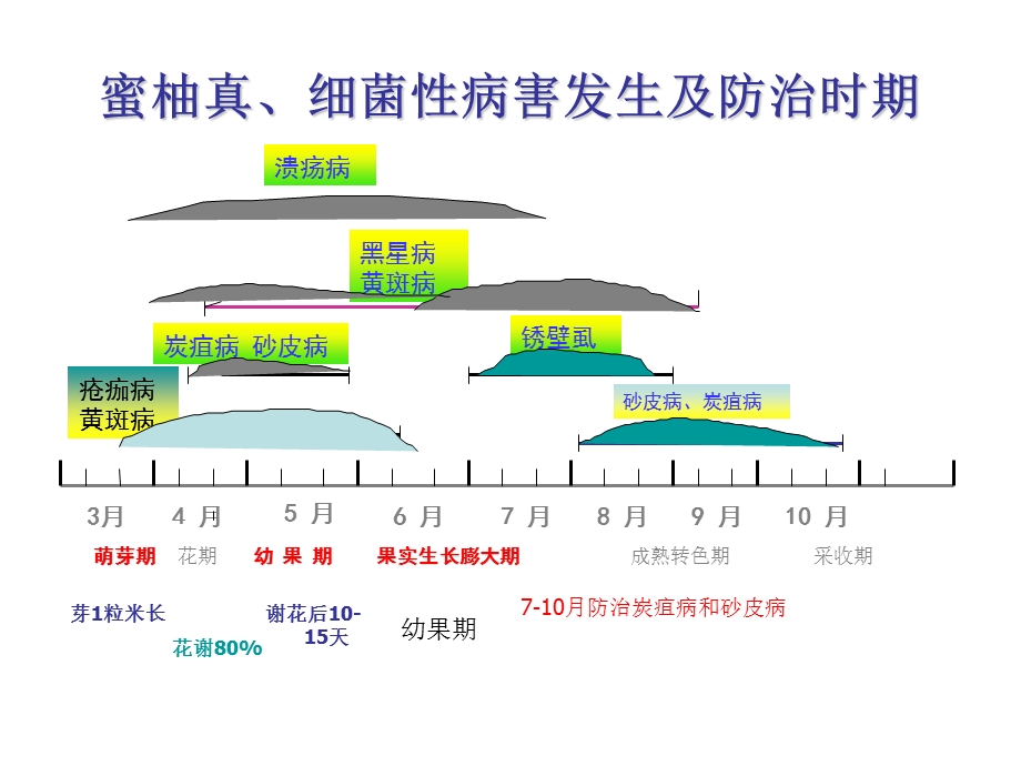 蜜柚病虫害综合防治技术.ppt_第3页