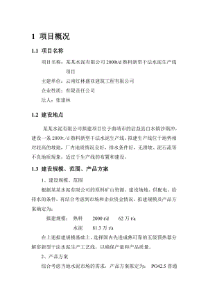 某某水泥有限公司2000t熟料水泥生产线节能评估报告书.doc