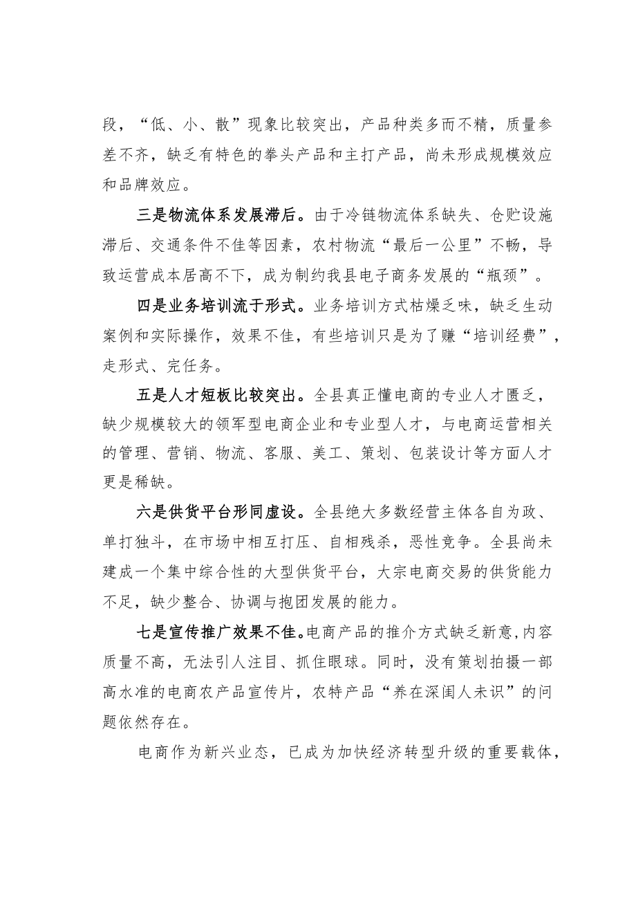 在全县电子商务工作调研座谈会上的发言.docx_第2页