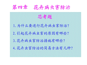 花卉病虫害防治.ppt