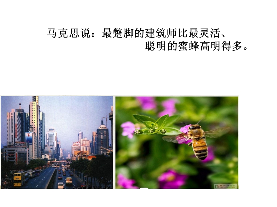 第三课--自觉能动与自强不息ppt课件.ppt_第3页