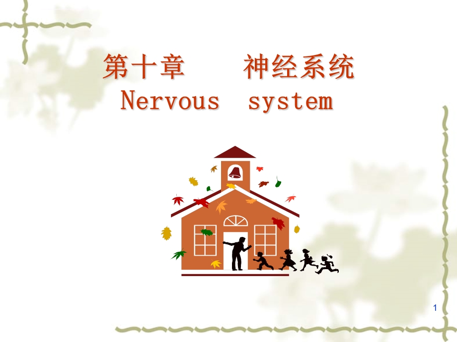 生理学第十章神经系统ppt课件.ppt_第1页