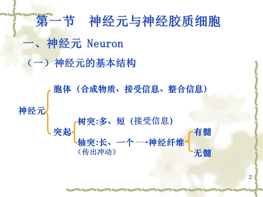 生理学第十章神经系统ppt课件.ppt_第2页