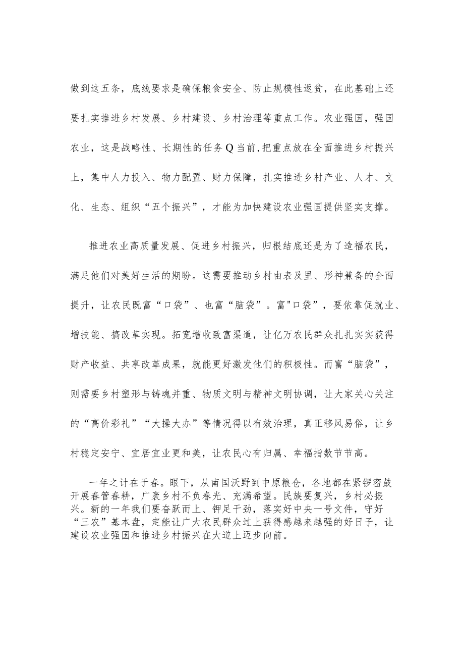 学习贯彻2023年中央一号文件发言稿.docx_第2页