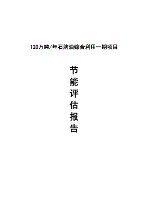 120万吨石脑油综合利用项目节能评估报告书.doc