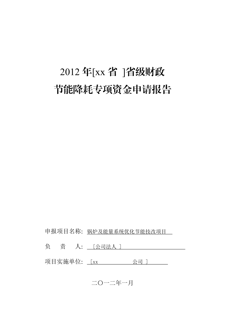 XX集团锅炉及能量系统优化节能技改项目资金申请报告.doc_第1页