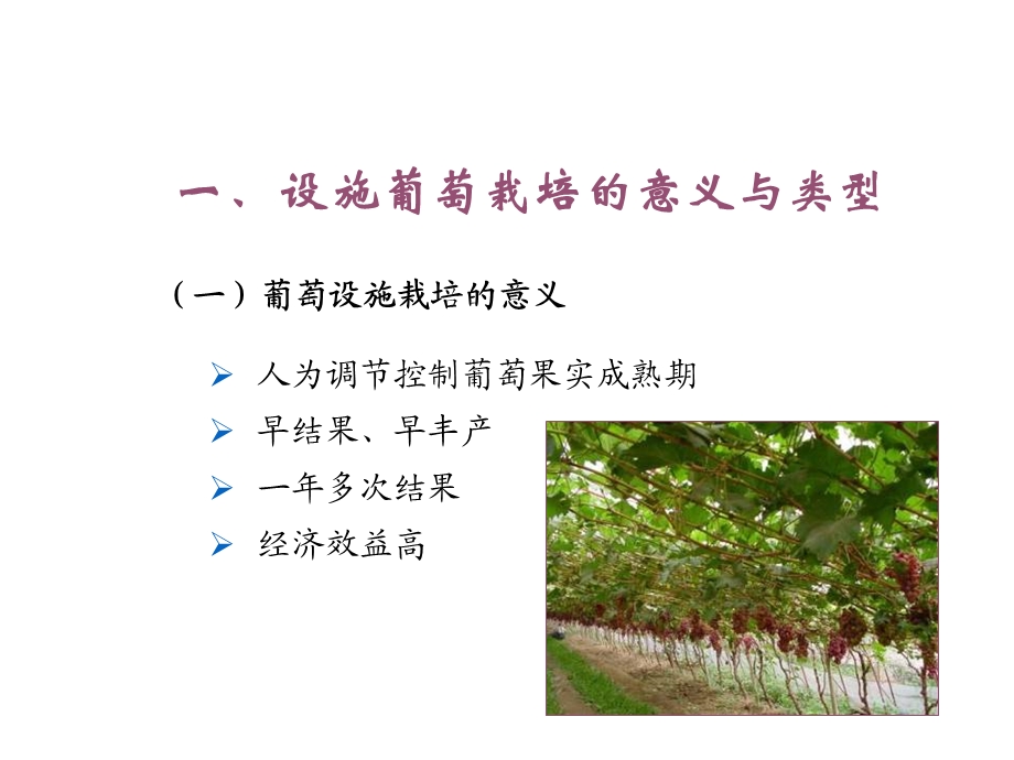 葡萄设施栽培技术.ppt_第2页