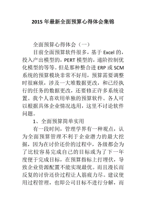 最新全面预算心得体会集锦.doc