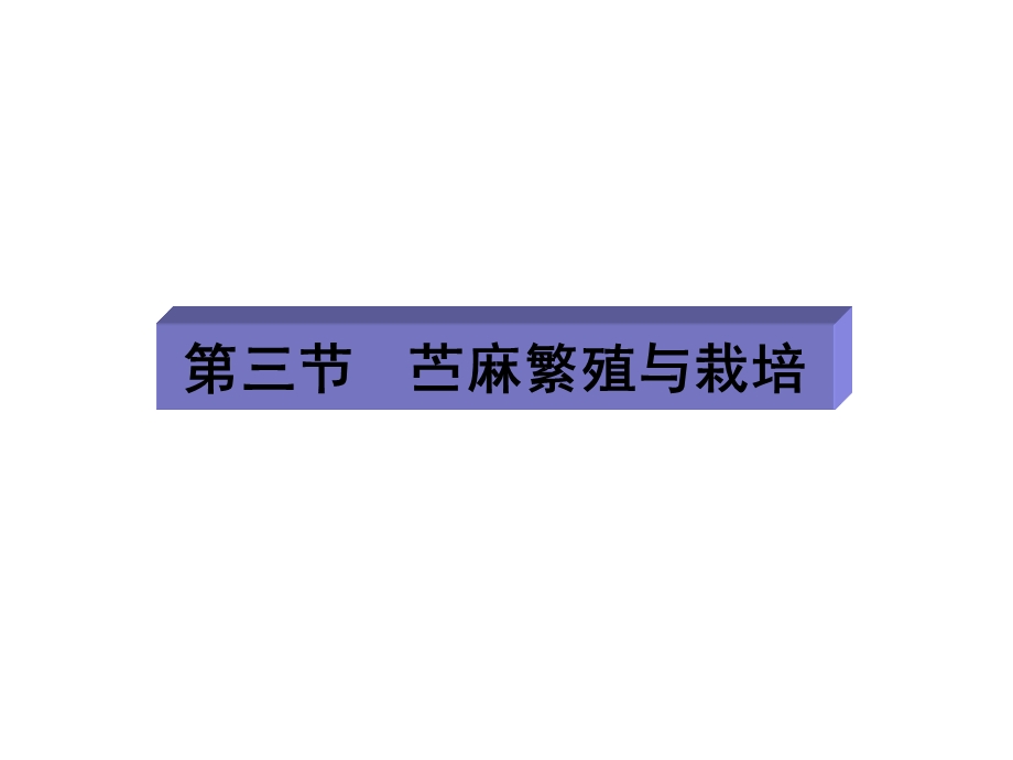 苎麻的栽培技术.ppt_第1页