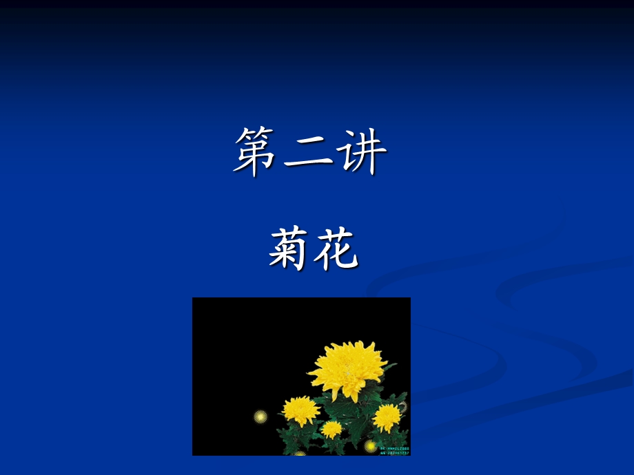 菊花栽培技术.ppt_第2页