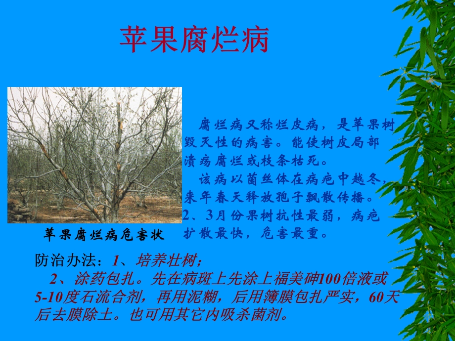 苹果病虫害防治技术.ppt_第2页