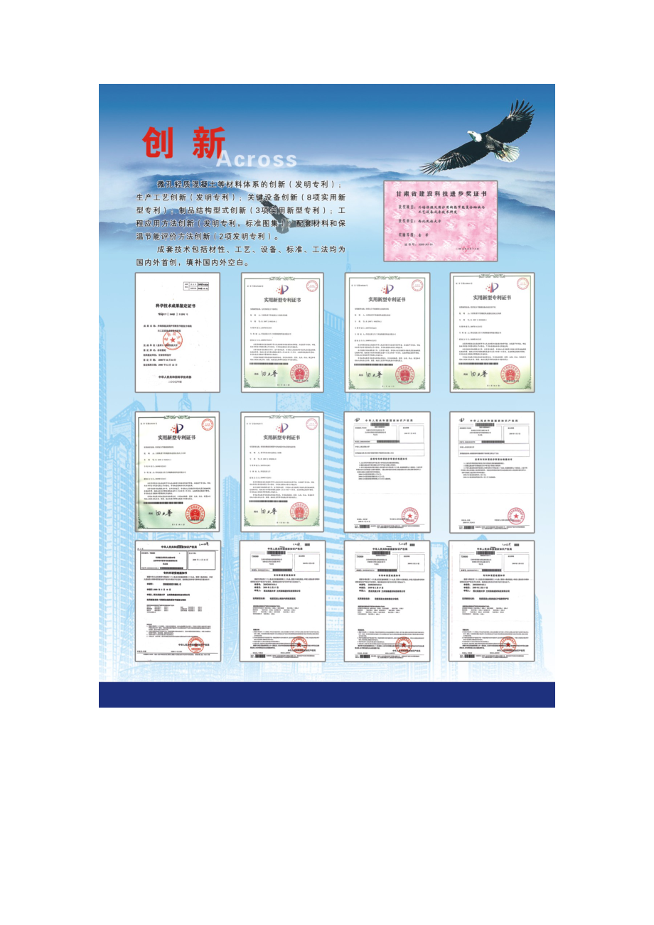 外墙保温及维护用断热节能复合砌块与工艺设备成套技术.doc_第2页