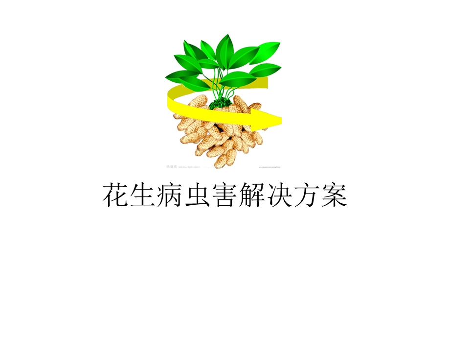 花生病虫害解决方案.ppt_第1页