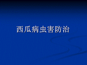 西瓜病虫害防治.ppt