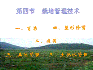 葡萄栽培技术.ppt