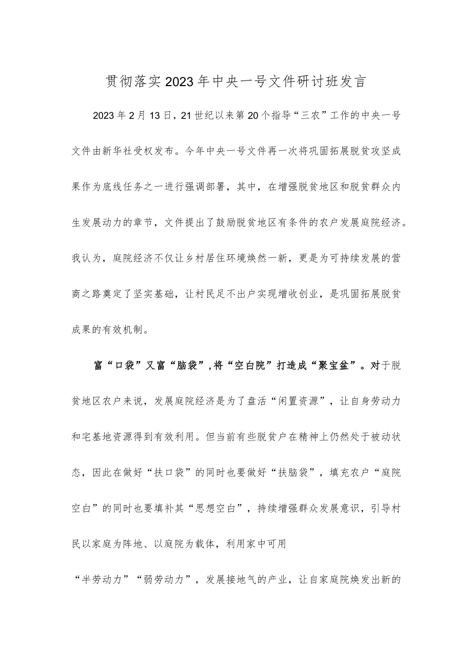 贯彻落实2023年中央一号文件研讨班发言.docx_第1页