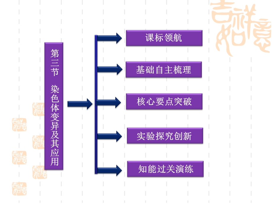 染色体变异及其应用正式版ppt课件.ppt_第2页