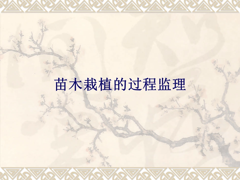 苗木栽植质量控制.ppt_第1页