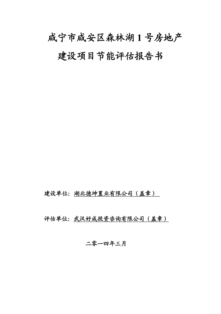 咸宁市咸安区森林湖1号房地产项目节能评估报告书.doc_第1页