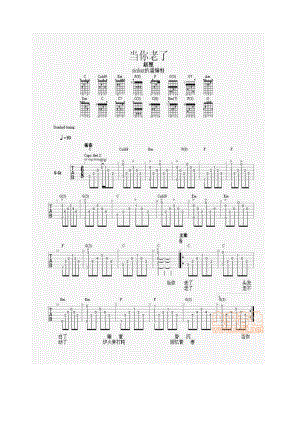 当你老了吉他谱 吉他谱_2.docx