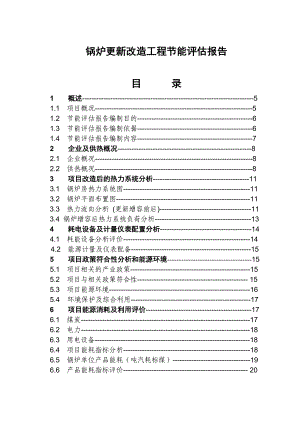 锅炉更新改造工程节能评估报告.doc